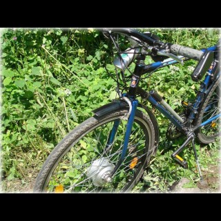Мотор-колесо для велосипеда 300W MXUS XF06